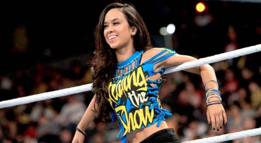 AJ Lee Net Worth