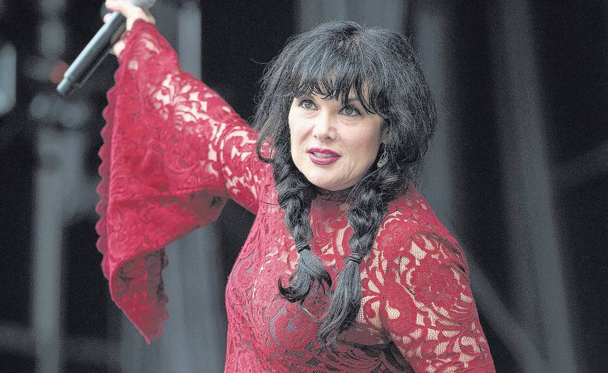 Ann Wilson Net Worth 2019