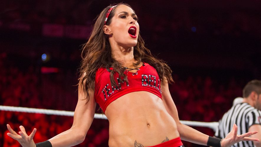 Brie Bella Net Worth