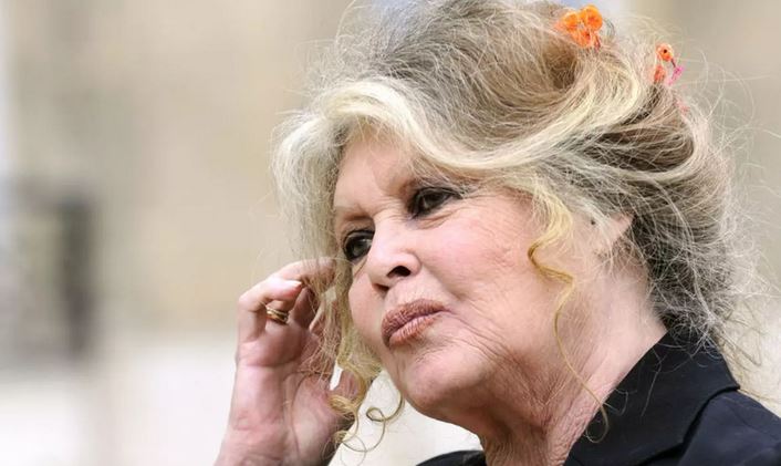 Brigitte Bardot Net Worth