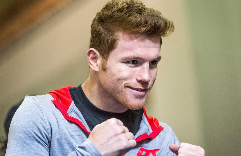 Canelo Alvarez Net Worth