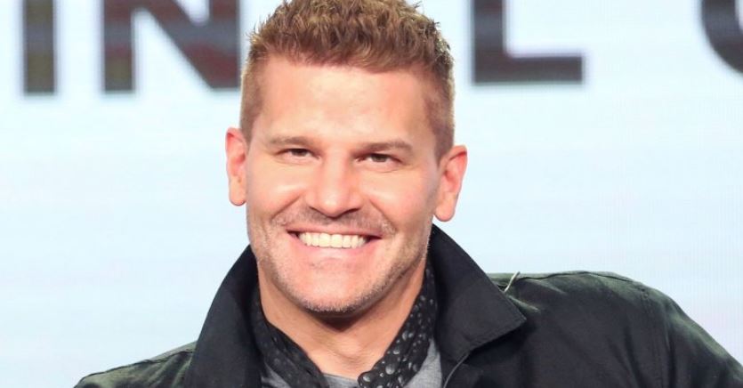 David Boreanaz Net Worth