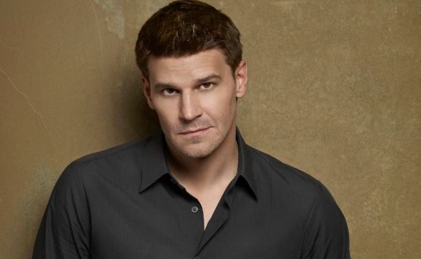 David Boreanaz