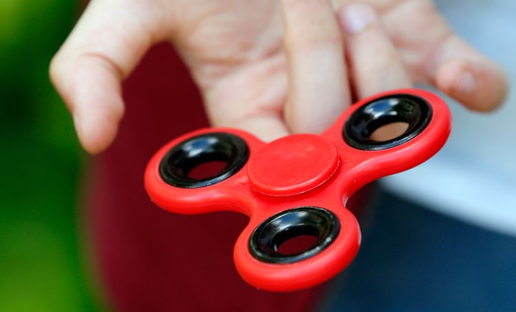 Fidget Spinner Net Worth