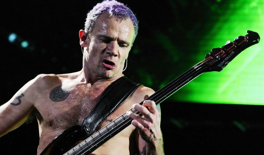 Flea Net Worth