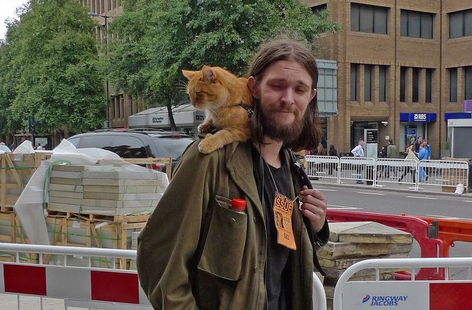 James Bowen Net Worth