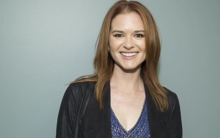 Sarah Drew Net Worth