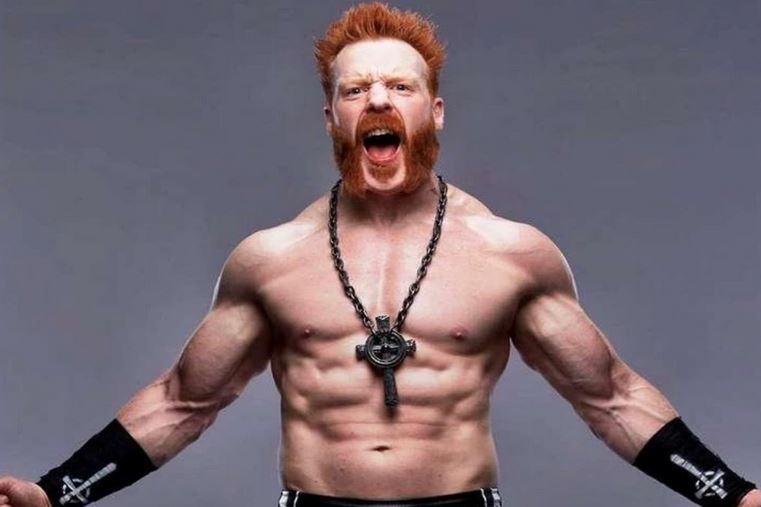 Sheamus Net Worth