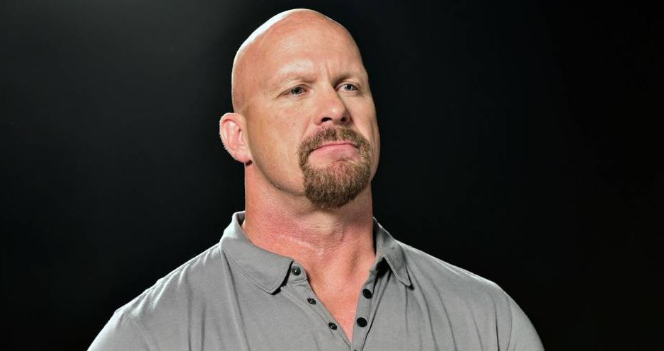 Steve Austin Net Worth